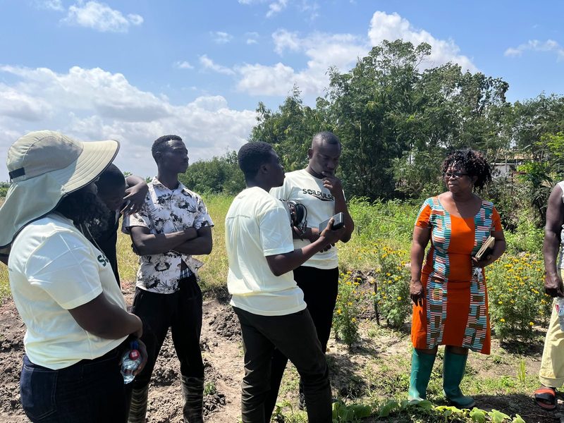SoilPulse field agents demonstrating a soil sensor to a group of farmers on a vegetable plot
